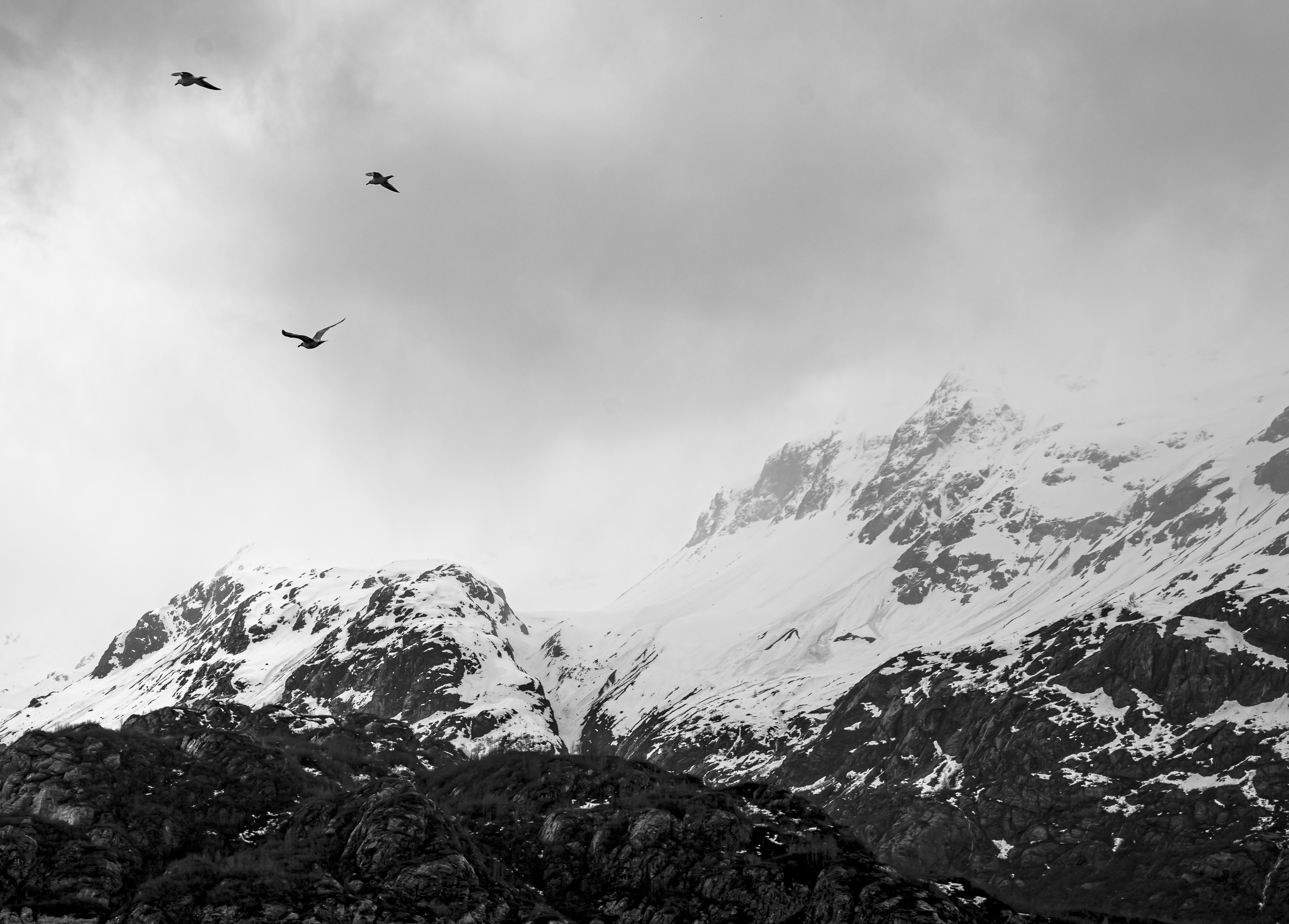 MountainTopBirds.JPG